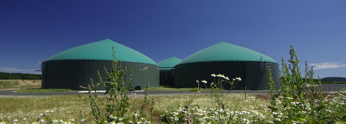 Biogasanlage vor blauem Himmel mit Blumen im Vordergrund