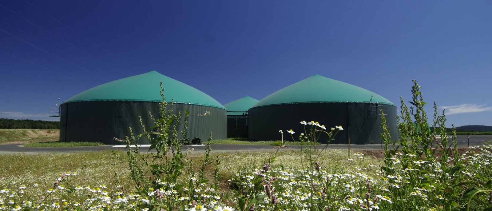 Biogasanlage vor blauem Himmel mit Blumen im Vordergrund