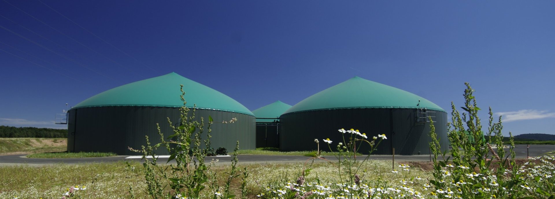 Biogasanlage vor blauem Himmel mit Blumen im Vordergrund