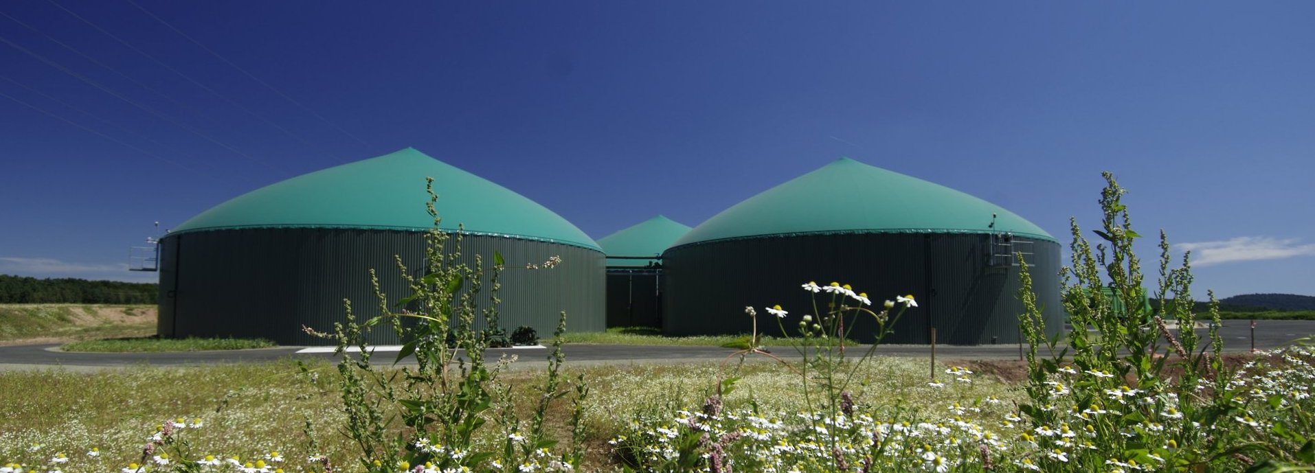 Biogasanlage vor blauem Himmel mit Blumen im Vordergrund