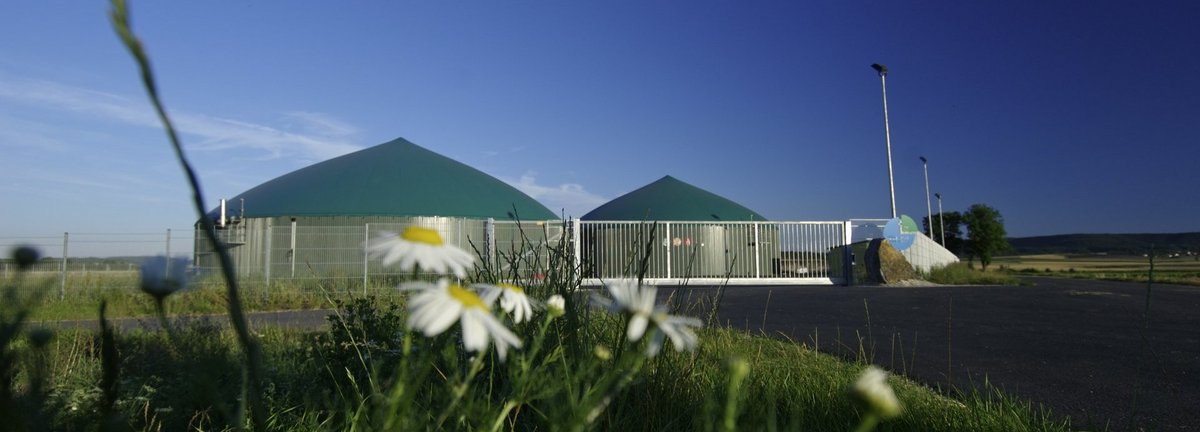 Biogasanlage vor dunkelblauem Himmel mit grünen Pflanzen im Vordergrund