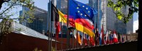 Flaggen der EU und europäischer Mitgliedsstaaten umgeben von grünen Ästen mit Gebäuden im Hintergrund