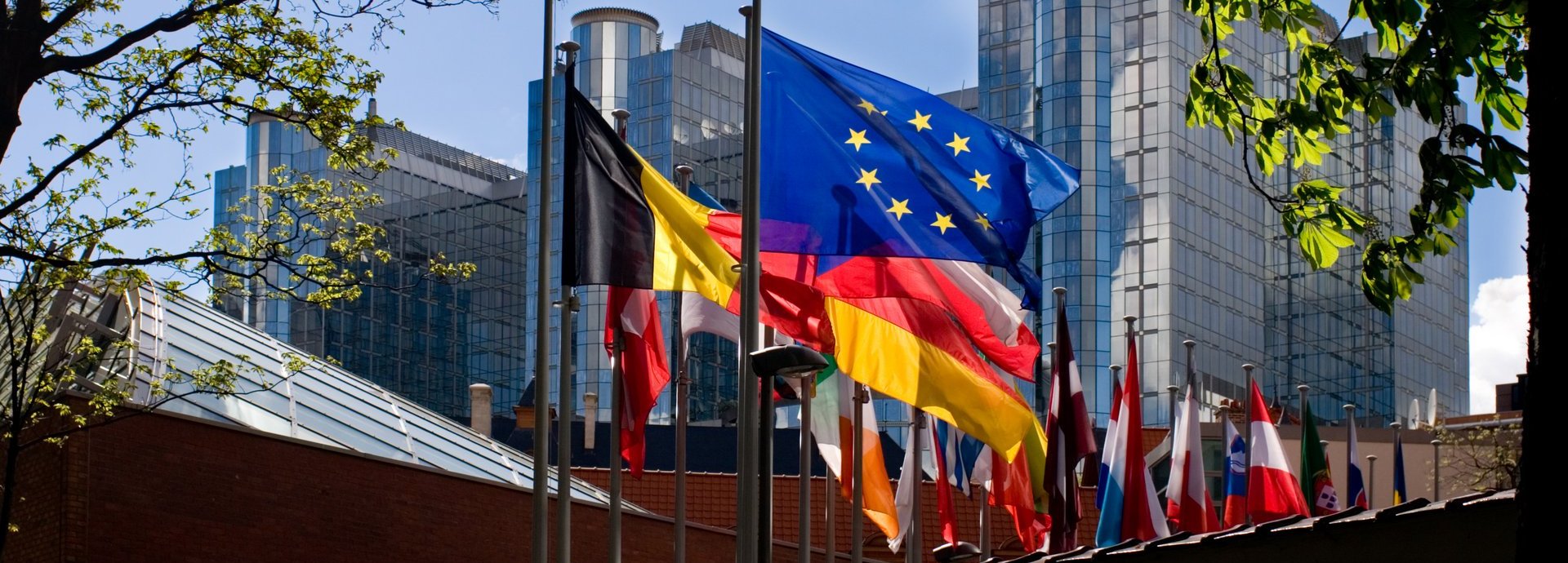 Europäische Flaggen umgeben von grünen Ästen mit Gebäuden im Hintergrund