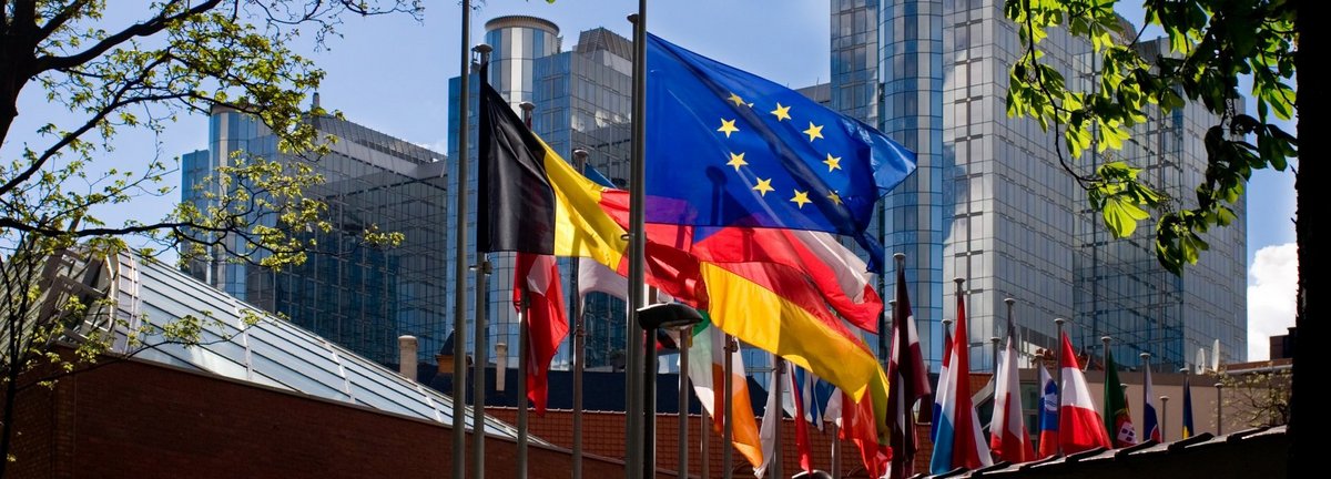 Europäische Flaggen umgeben von grünen Ästen mit Gebäuden im Hintergrund