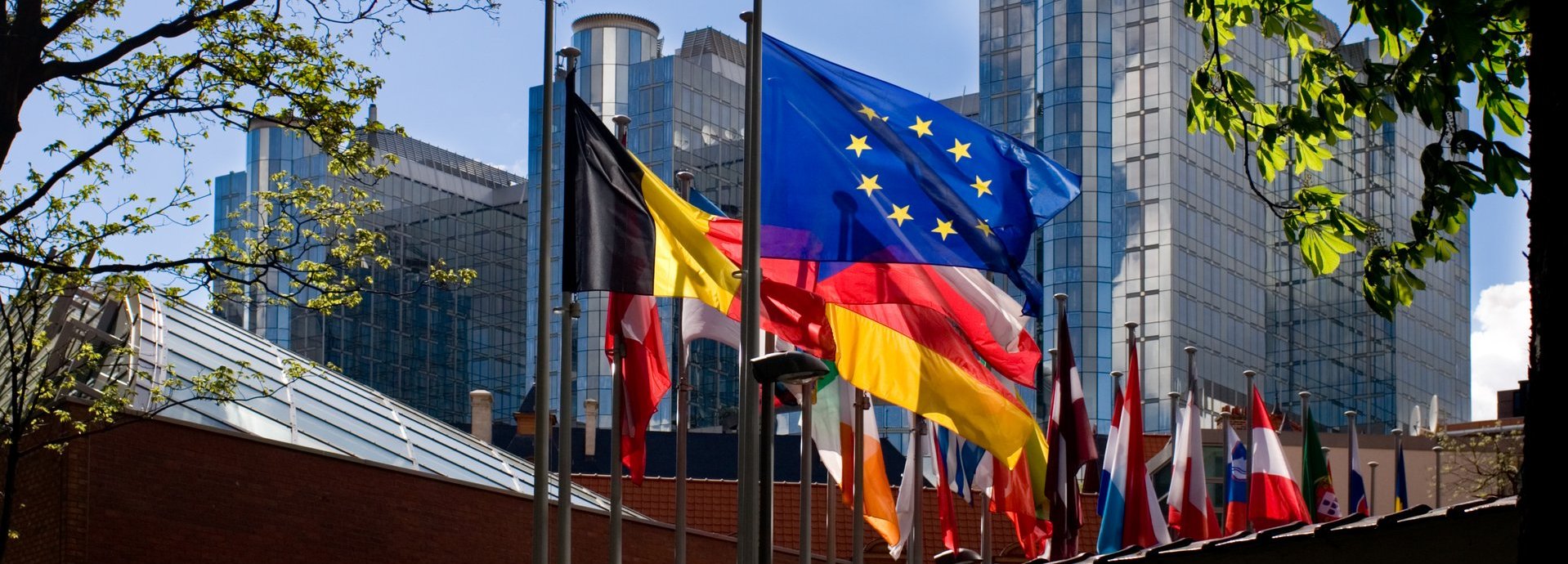Beschreibung: Flaggen der EU und europäischer Mitgliedsstaaten umgeben von grünen Ästen mit Gebäuden im Hintergrund