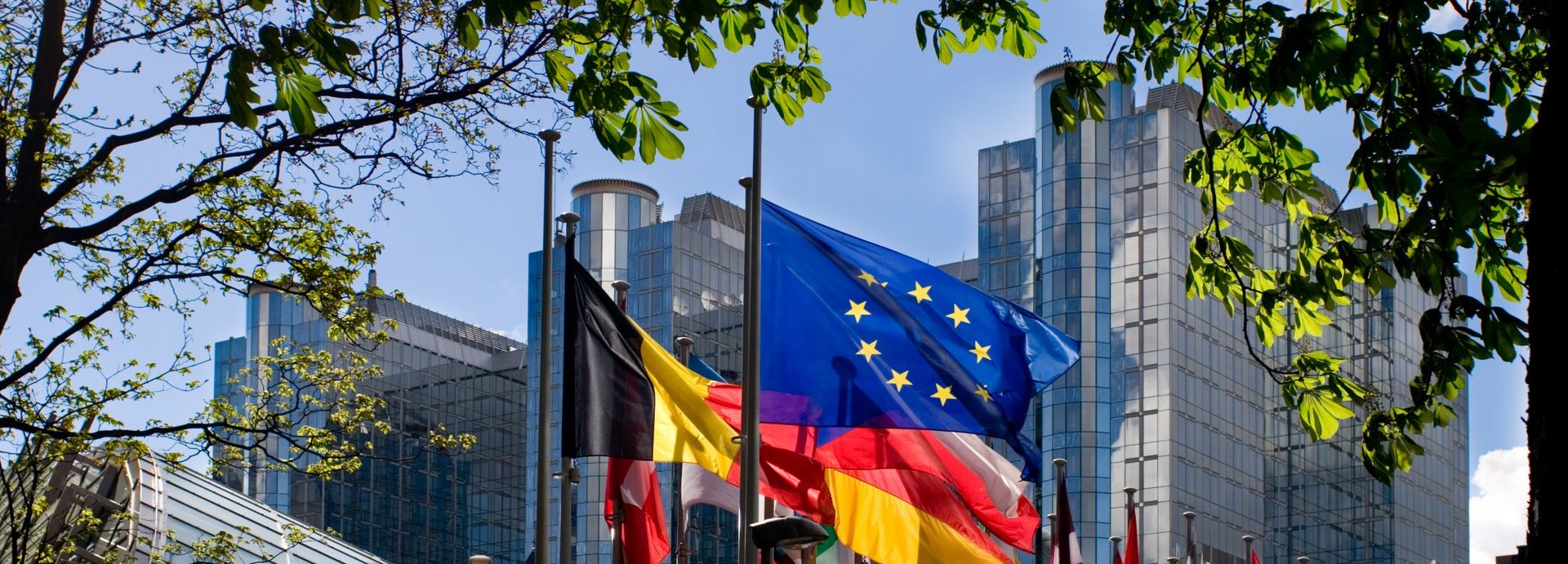 Beschreibung: Flaggen der EU und europäischer Mitgliedsstaaten umgeben von grünen Ästen mit Gebäuden im Hintergrund