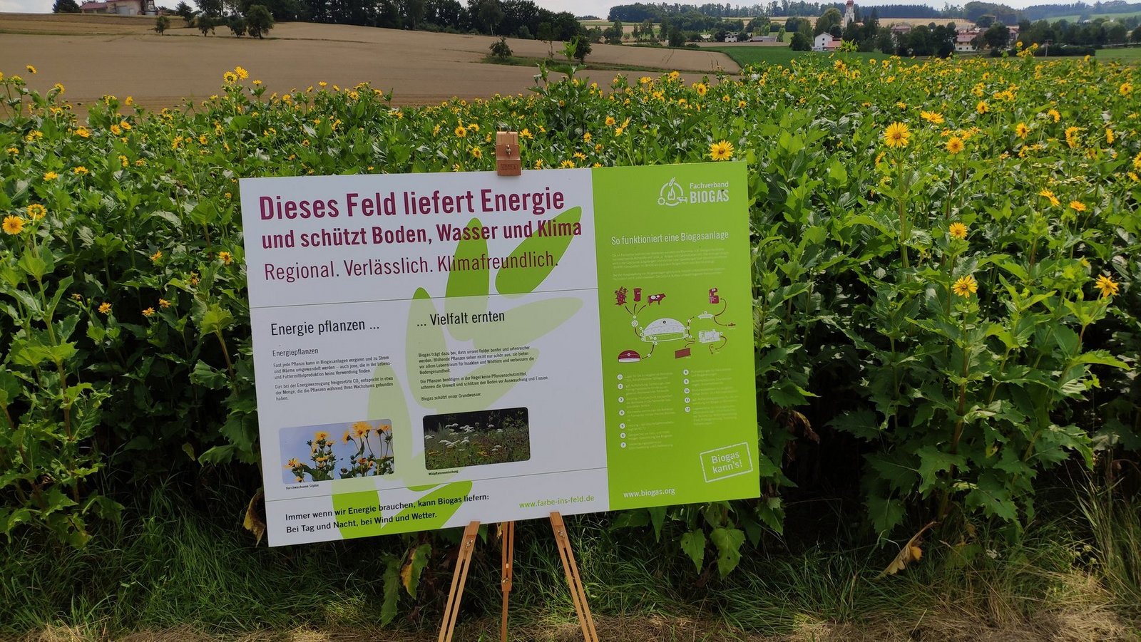 Schild Dieses Feld liefert Bioenergie vor Pflanzen