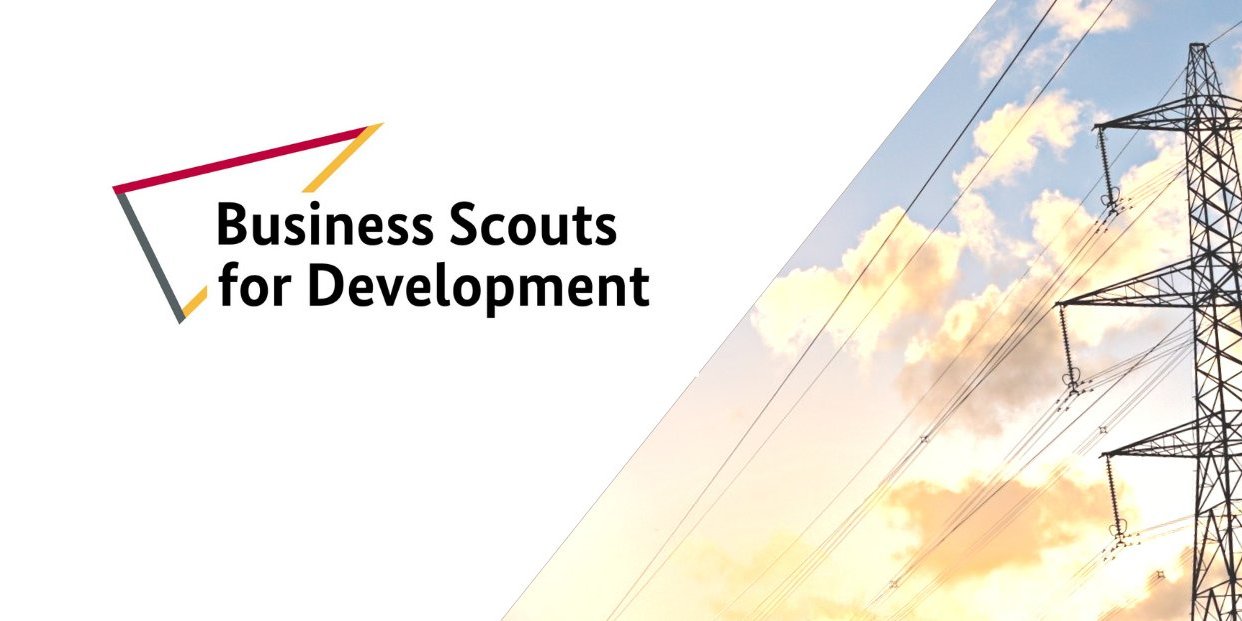 Grafik des Business Scout Projekts