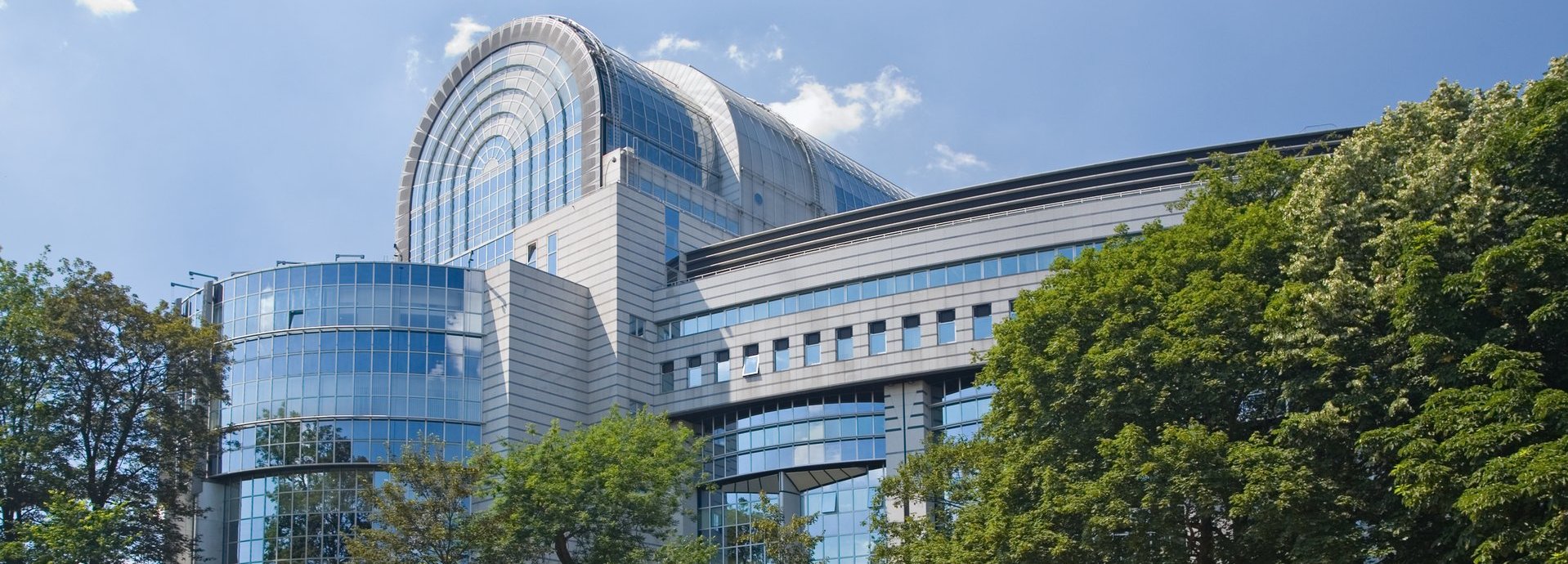 Gebäude des EU Parlament hinter Bäumen mit freiem blauem Himmel