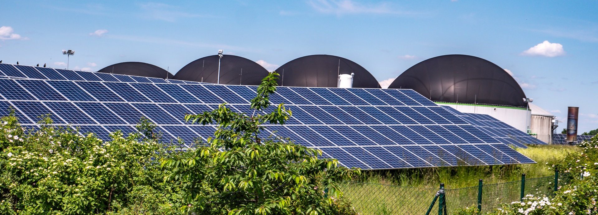 Beschreibung: Solarkollektoren hinter Pflanzen mit Biogasanlagen im Hintergrund