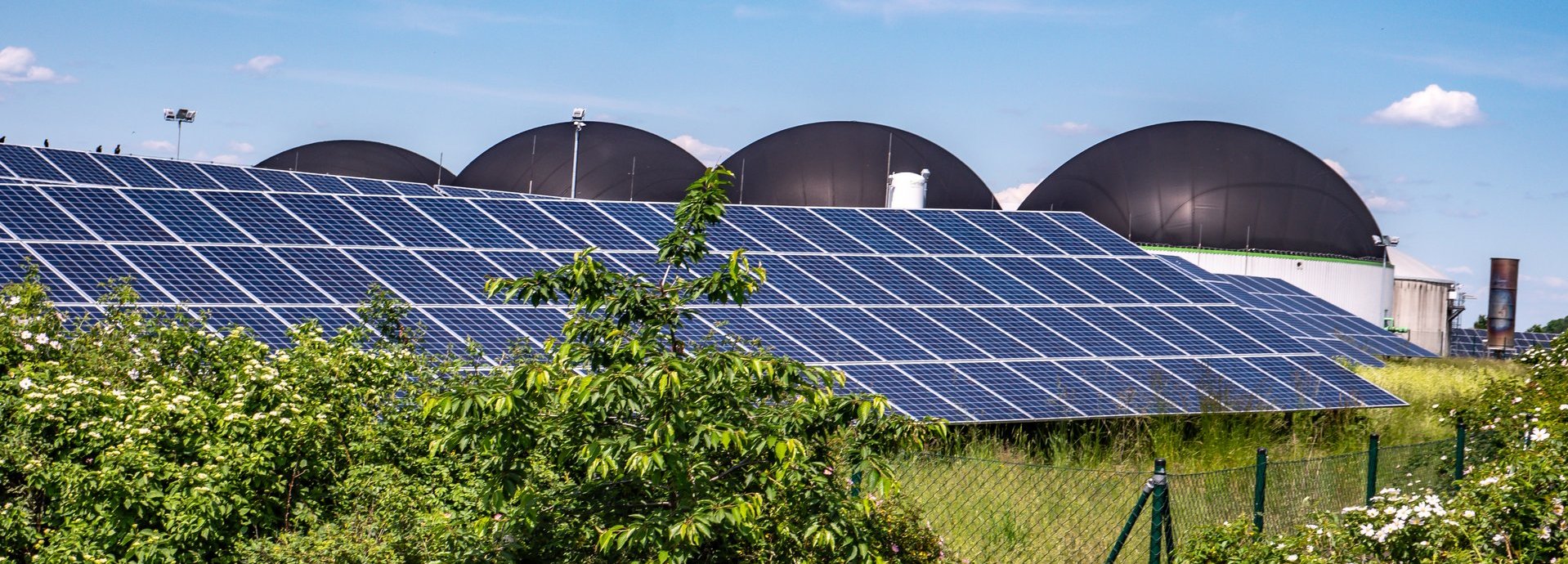 Solarkollektoren hinter Pflanzen mit Biogasanlagen im Hintergrund