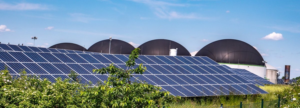 Solarkollektoren hinter Pflanzen mit Biogasanlagen im Hintergrund