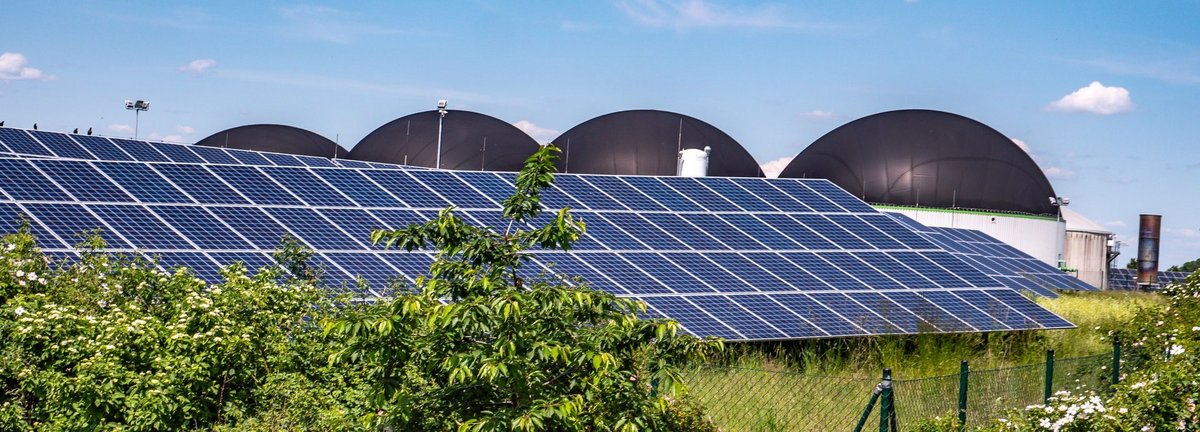 Solarkollektoren hinter Pflanzen mit Biogasanlagen im Hintergrund