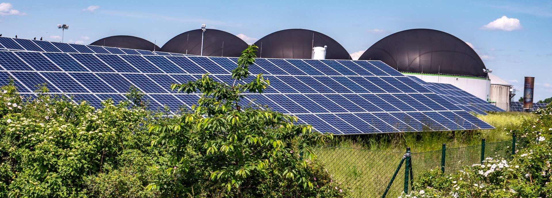 Solarkollektoren hinter Pflanzen mit Biogasanlagen im Hintergrund