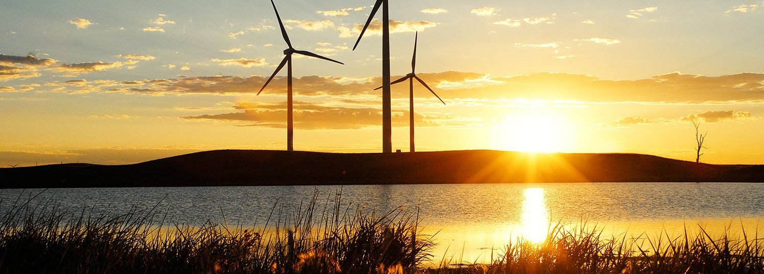 Sonnenuntergang mit Gras und Wasser, Windräder am Horizont