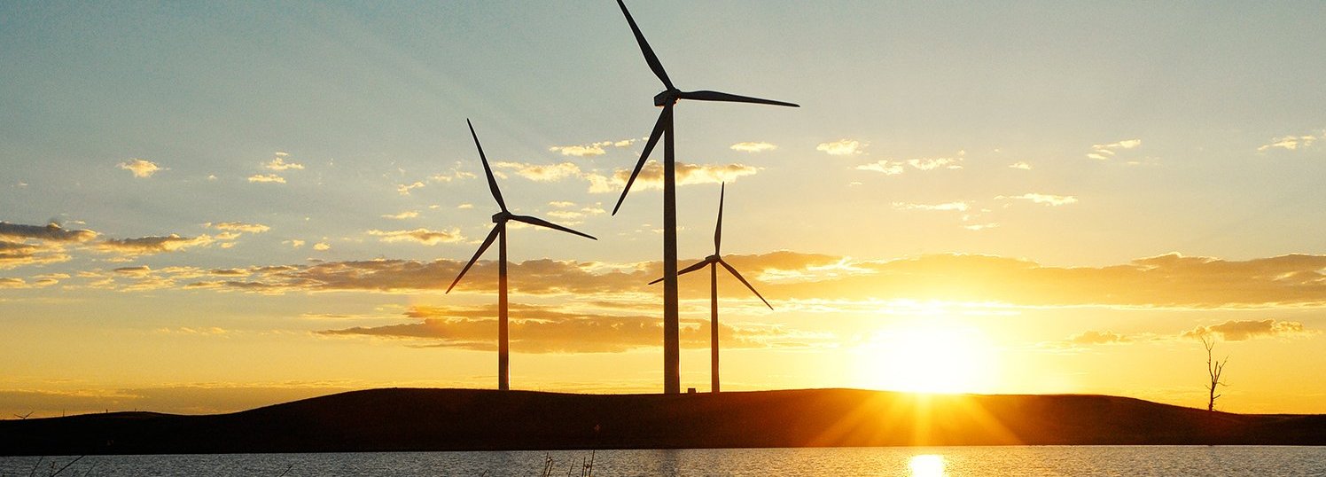 Sonnenuntergang mit Gras und Wasser, Windräder am Horizont