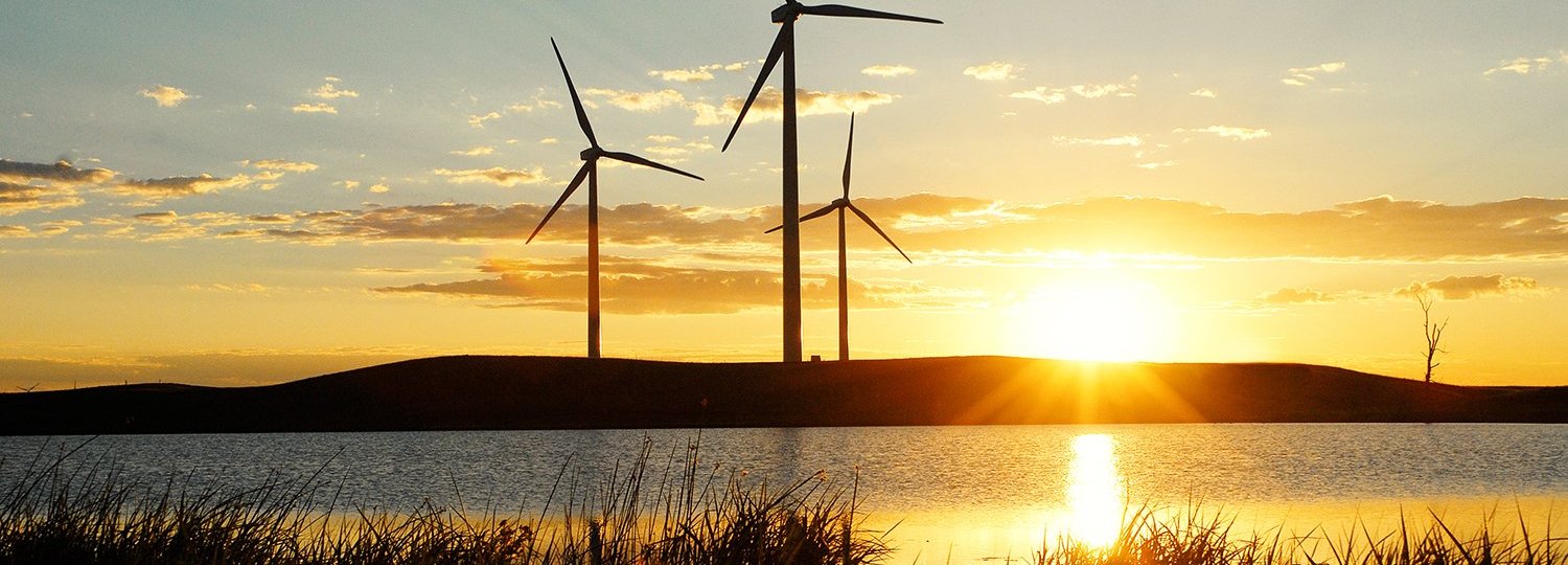 Sonnenuntergang mit Gras und Wasser, Windräder am Horizont