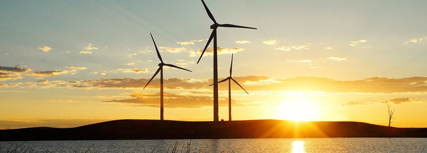 Beschreibung: Sonnenuntergang mit Gras und Wasser, Windräder am Horizont