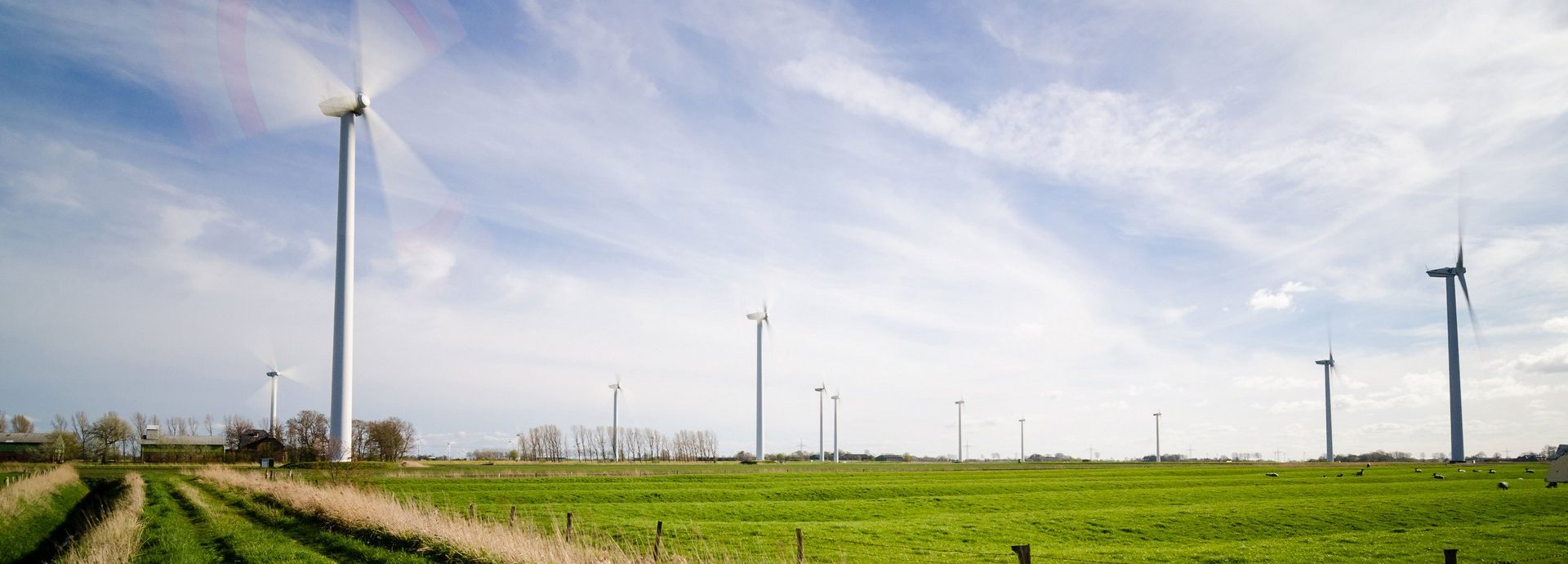 Grüne Wiese auf der viele Windräder stehen. Gebiet ist umzäunt.