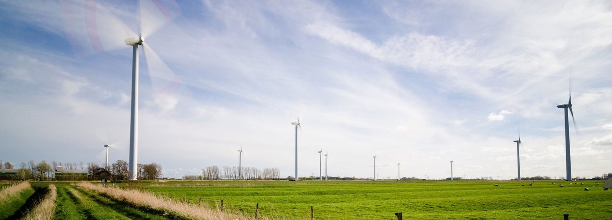 Grüne Wiese auf der viele Windräder stehen. Gebiet ist umzäunt.