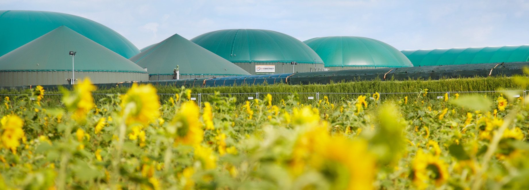 Biogasanlage in der Ferne vor einem Sonnenblumenfeld