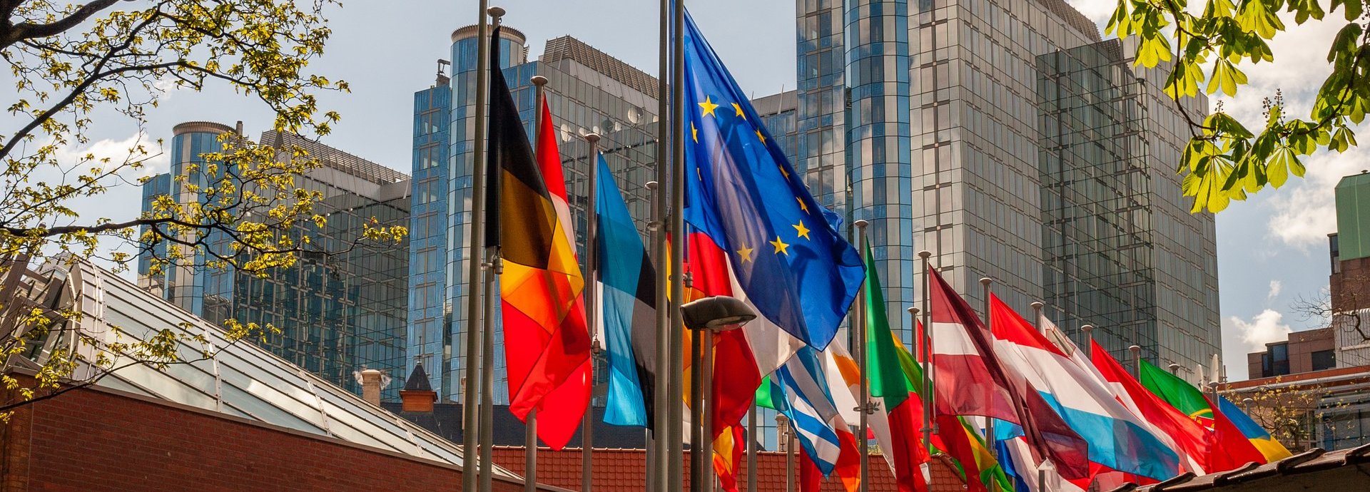 Beschreibung: Paul-Henri-Spaak-Gebäude mit Flaggen der EU und europäischen Mitgliedsstaaten und Ästen im Vordergrund