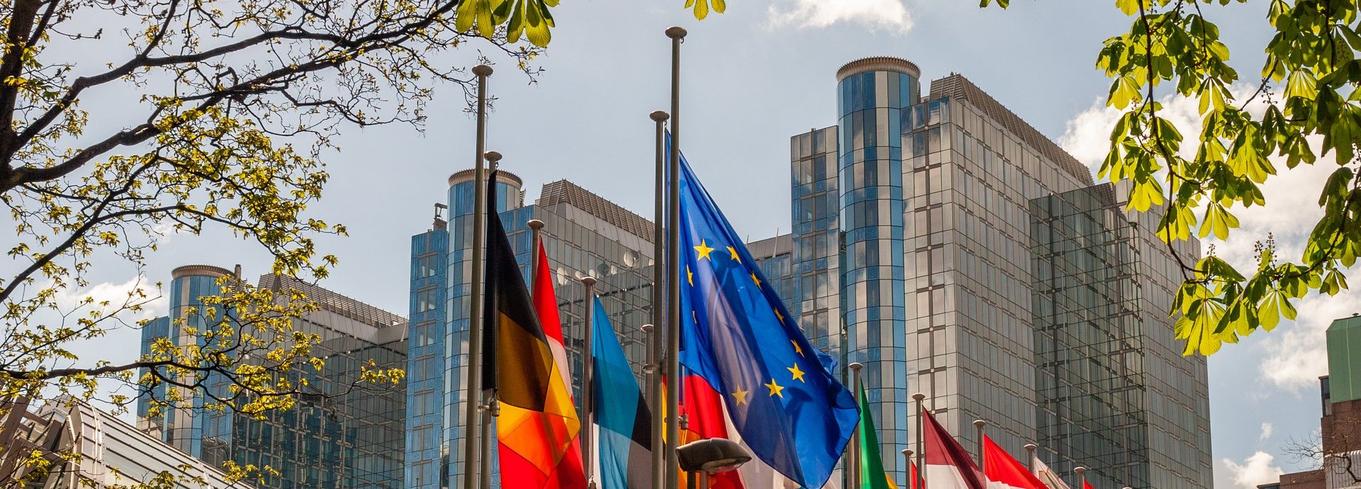 Paul Henri Spaak Gebäude im Hintergrund mit europäischen Flaggen und Ästen