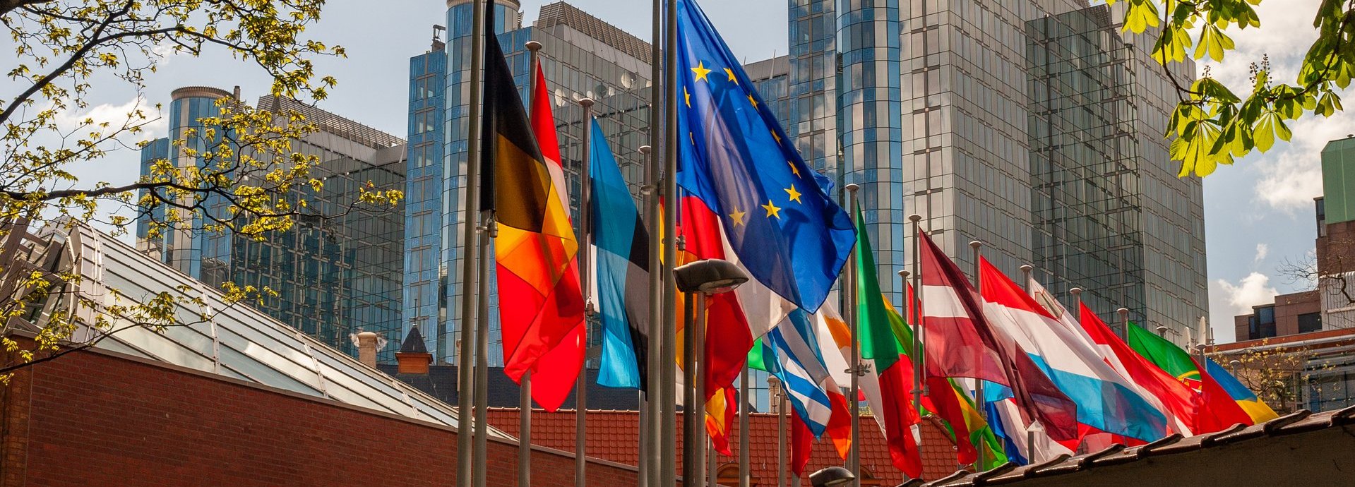 Paul Henri Spaak Gebäude im Hintergrund mit europäischen Flaggen und Ästen