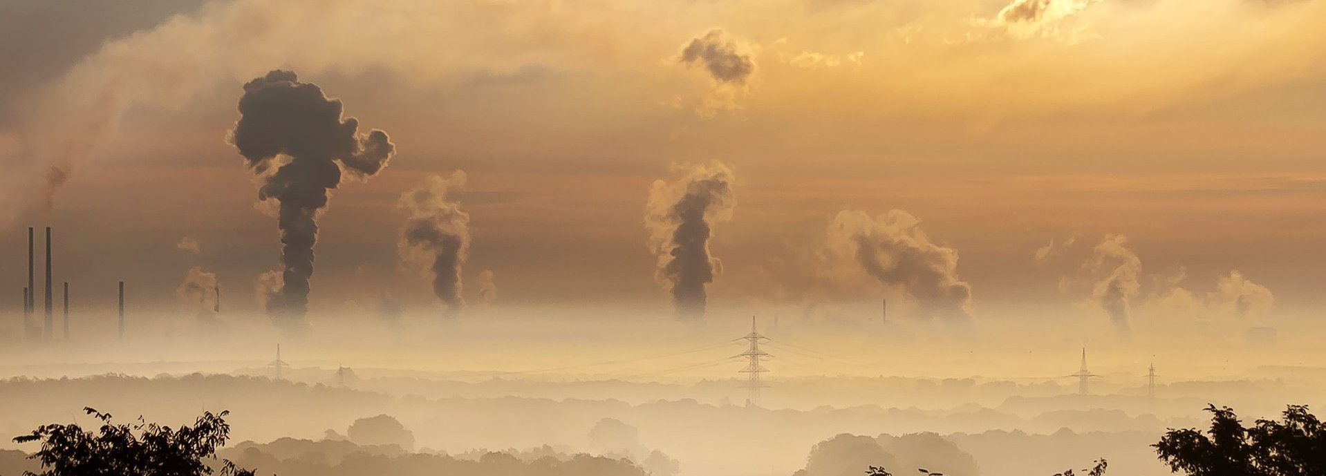 Abgase am Horizont bei SOnnenaufgang, im Vordergrund Umrisse von Bäumen