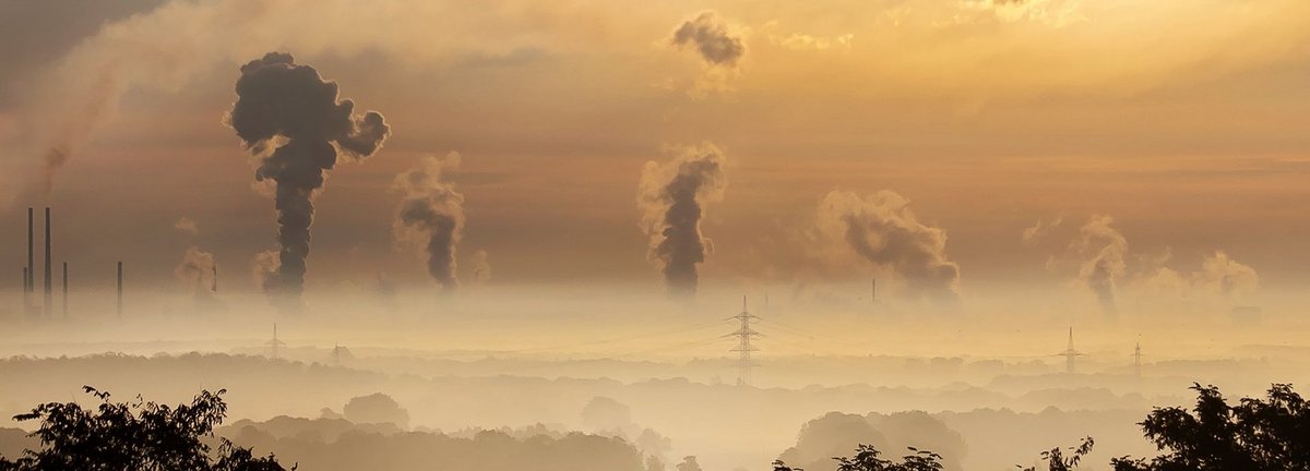 Abgase am Horizont bei SOnnenaufgang, im Vordergrund Umrisse von Bäumen