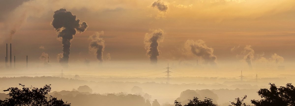 Abgase am Horizont bei SOnnenaufgang, im Vordergrund Umrisse von Bäumen