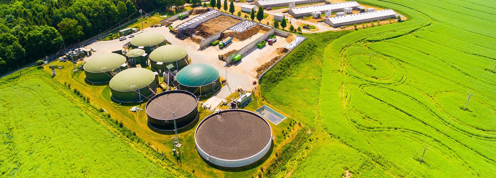 Fernansicht von oben auf Biogasanlage umgeben von grüner Wiese und Waldfläche