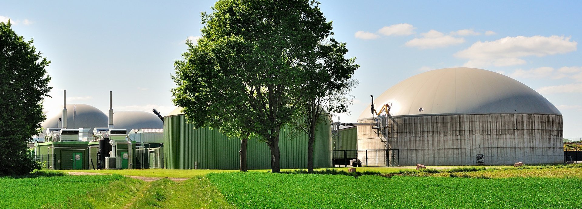 Bäume und Wiese vor weißer Biogasanlage und blauem Himmel