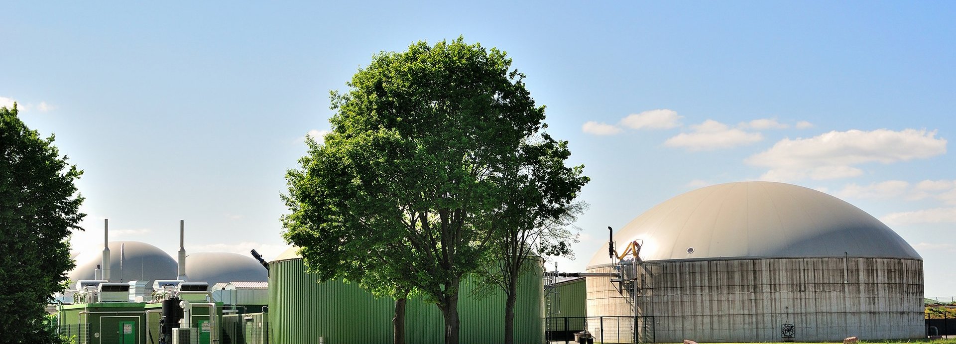 Bäume und Wiese vor weißer Biogasanlage und blauem Himmel